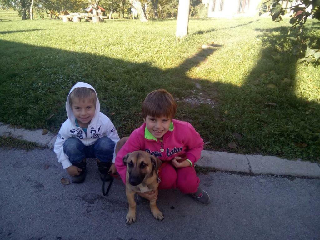 Janezinovi House Guest House Ratecevo Brdo Екстериор снимка